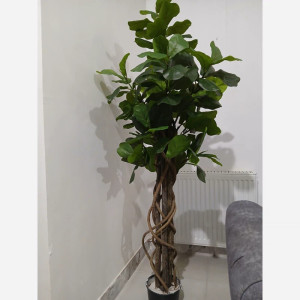 خرید درختچه مصنوعی لیراتا با برگ های لمسی