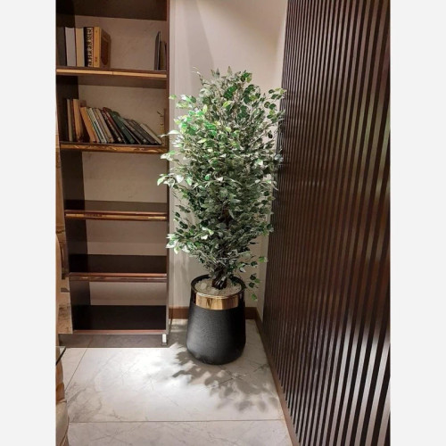 خرید درختچه مصنوعی بنجامین مدل ابلق قد ۱۶۰