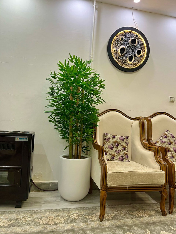 خرید درختچه مصنوعی بامبو پر حجم و باکیفیت قد ۱۶۰ و سوپر طبیعی