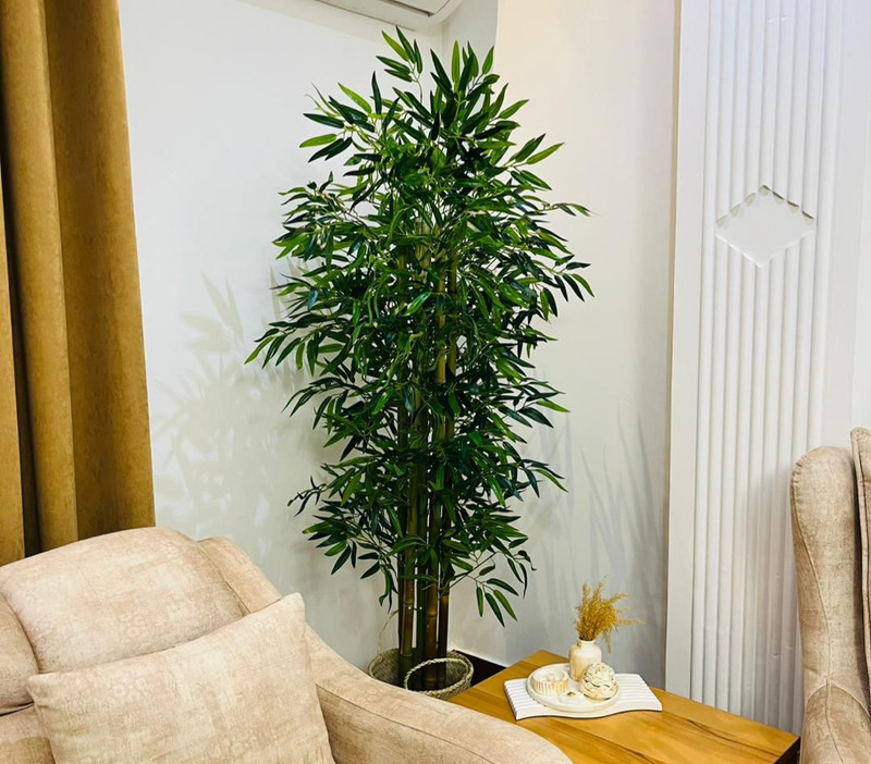 خرید درختچه مصنوعی بامبو ۶ شاخه قد ۱۶۰ با برگ های لمسی و قابل شست شو