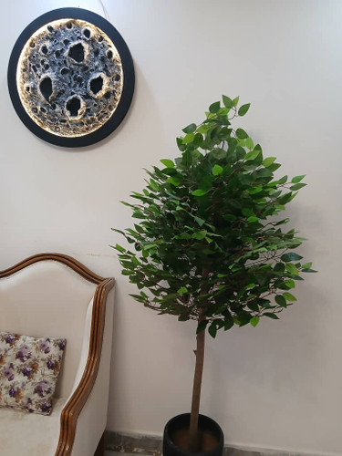 درختچه مصنوعی بنجامین